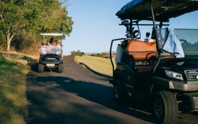 Revolutionizing Convenience: How Mobile Golf Cart Repair Services are Changing the Face of Golf Course Maintenance in South Florida